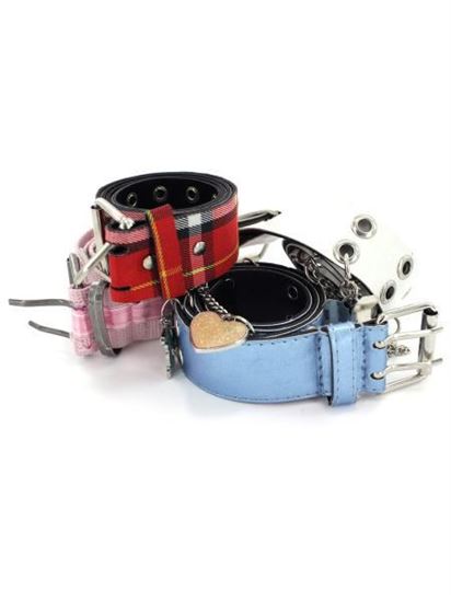 Picture of Assorted fashion belts (Available in a pack of 25)