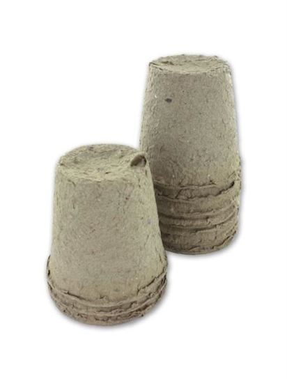 Picture of Biodegradable peat pots (Available in a pack of 12)